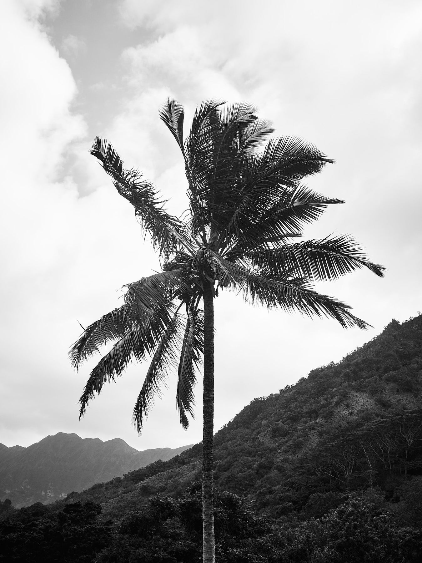 230211_AlaiaMag_Hawaii_0032
