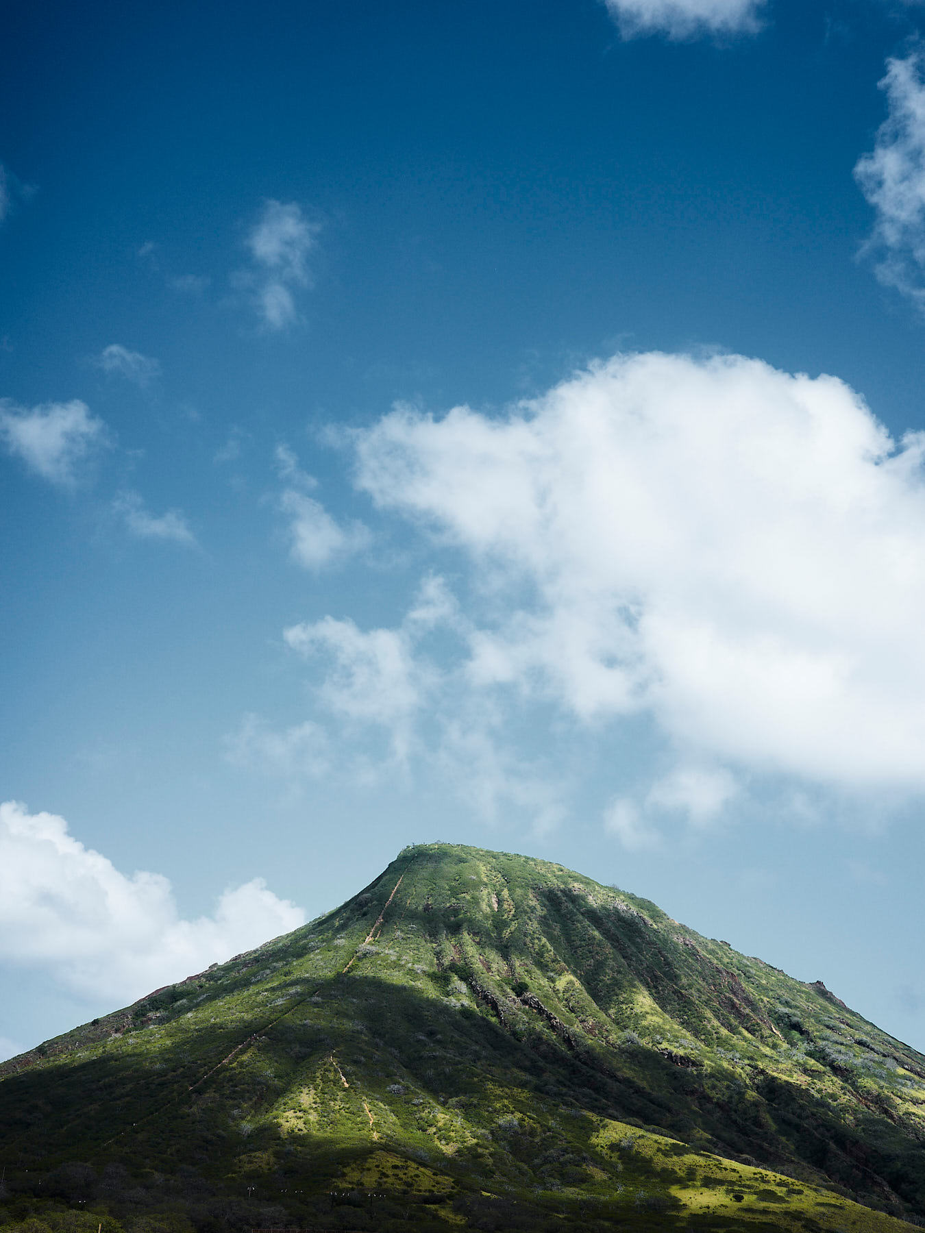 230211_AlaiaMag_Hawaii_0061